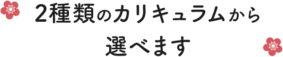 2種類のカリキュラムから選べます